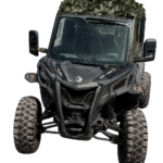 Buggy tour