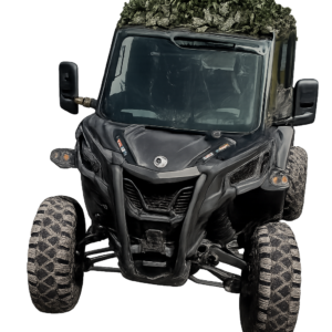Buggy tour