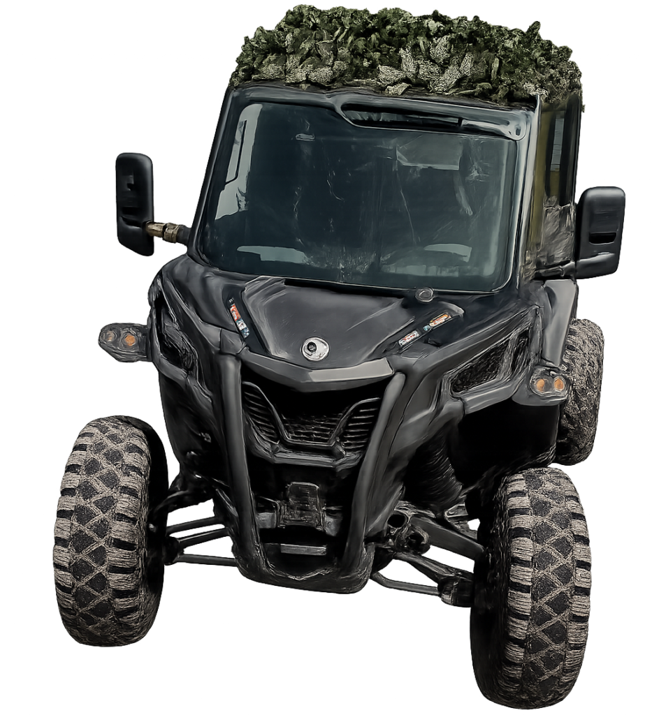 Buggy tour